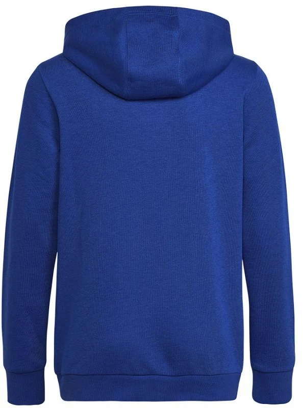 Adidas Big Logo Essentials džemperis Jr HN1912