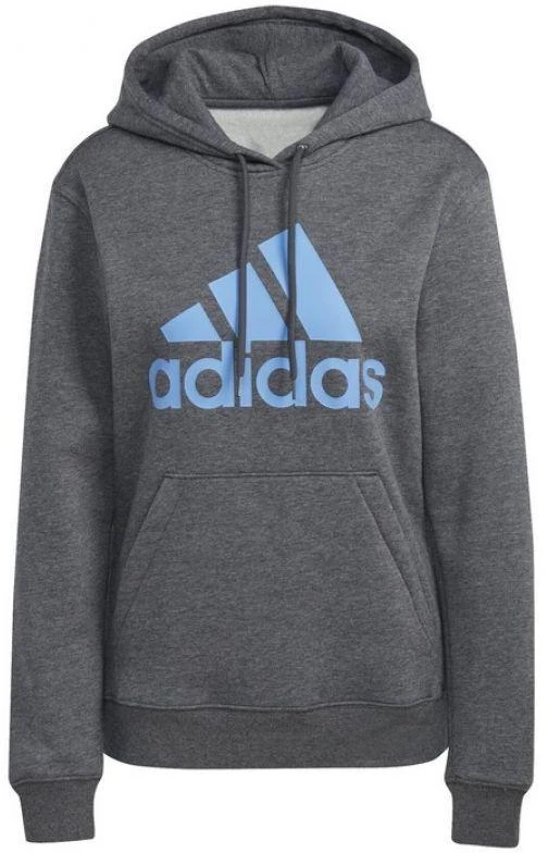 Adidas Big Logo FL R HD W IC9845 džemperis
