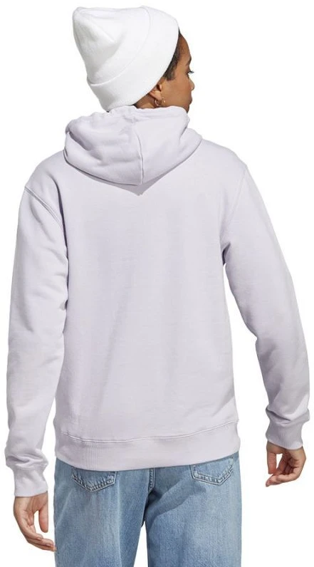 Adidas Big Logo FT R HD W IC6899 džemperis