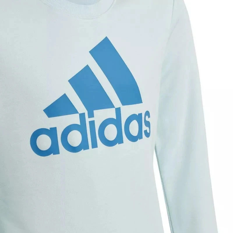 Adidas Big Logo Swt Jr HM8707 Džemperis