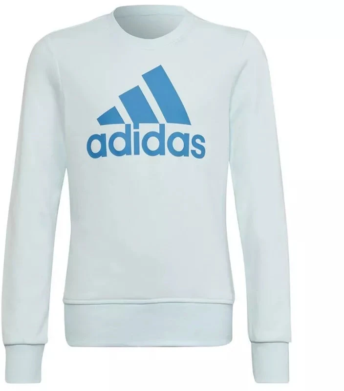 Adidas Big Logo Swt Jr HM8707 Džemperis