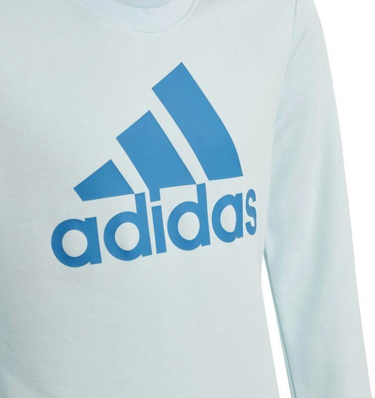 Adidas Big Logo Swt Jr HM8707 Džemperis