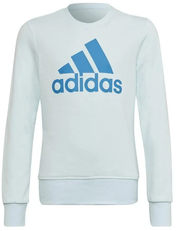 Adidas Big Logo Swt Jr HM8707 Džemperis