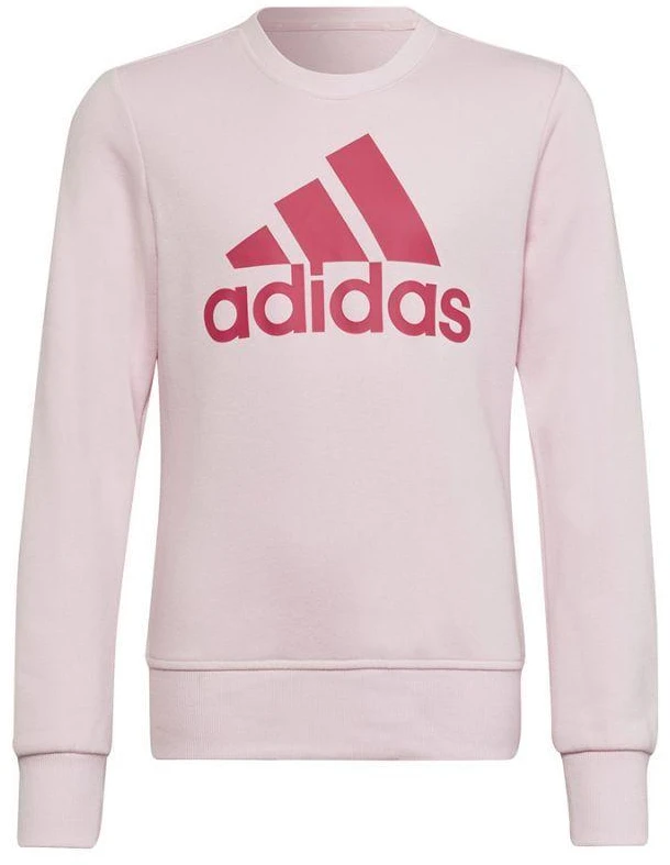 Adidas Big Logo SWT Jr HM8709 džemperis
