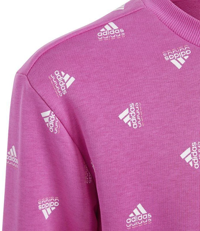Adidas Bluv Swt Jr IC5573 džemperis