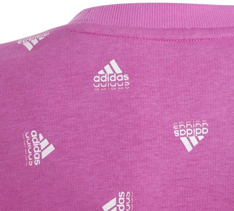 Adidas Bluv Swt Jr IC5573 džemperis