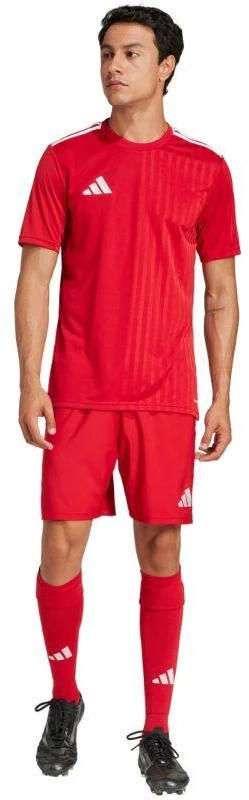 adidas Campeon 25 marškinėliai M JF6058