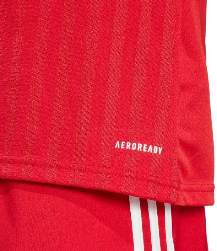 adidas Campeon 25 marškinėliai M JF6058