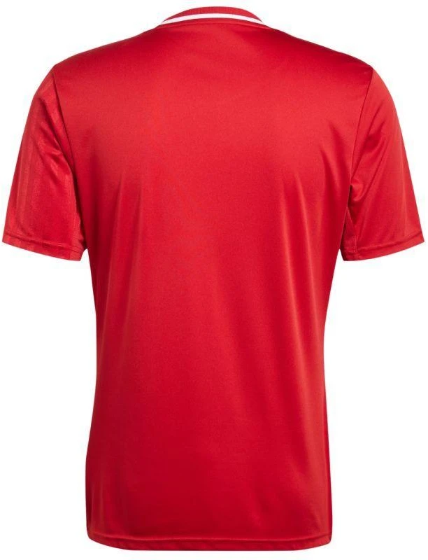 adidas Campeon 25 marškinėliai M JF6058