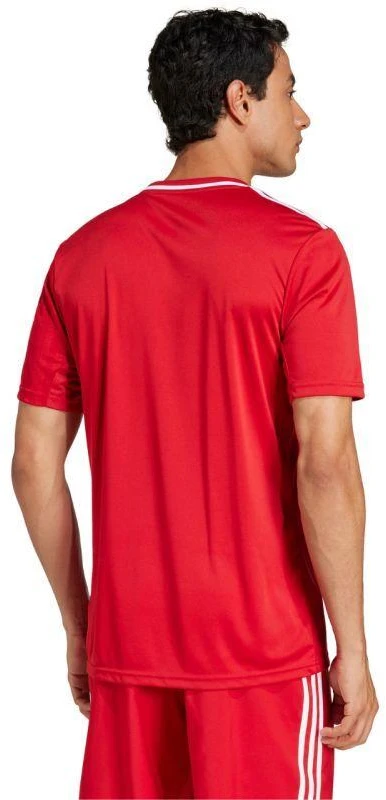 adidas Campeon 25 marškinėliai M JF6058