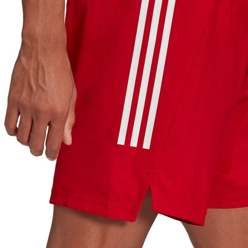 adidas Condivo 21 Primeblue šortai M GJ6810