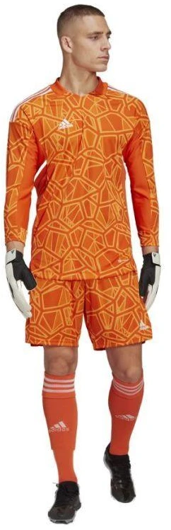 adidas Condivo 22 Golakeeper ilgo rankovė M HB1617 vartininko apranga