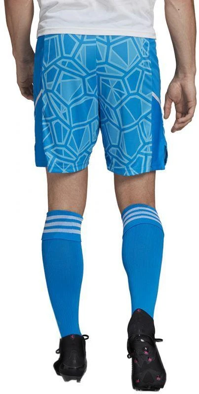 Adidas Condivo 22 M HB1629 vartininko šortai