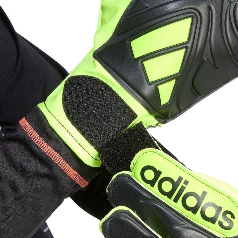 adidas Copa Club JN5340 vartininko pirštinės