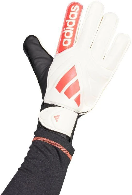 adidas Copa Club Vartininko pirštinės M JH3789
