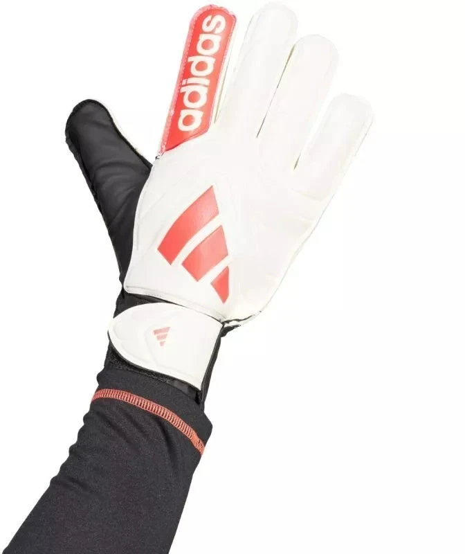 adidas Copa Club Vartininko pirštinės M JH3789
