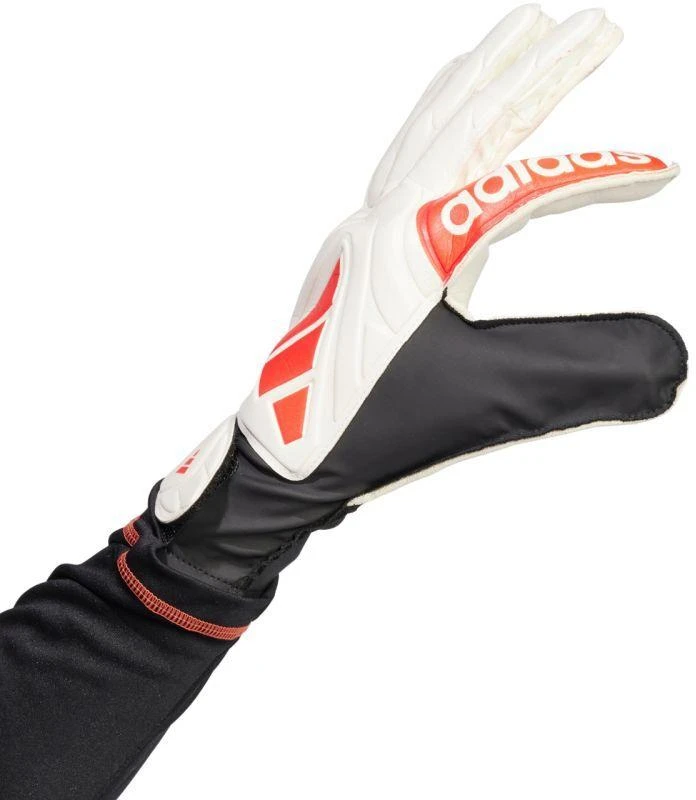 adidas Copa Club Vartininko pirštinės M JH3789