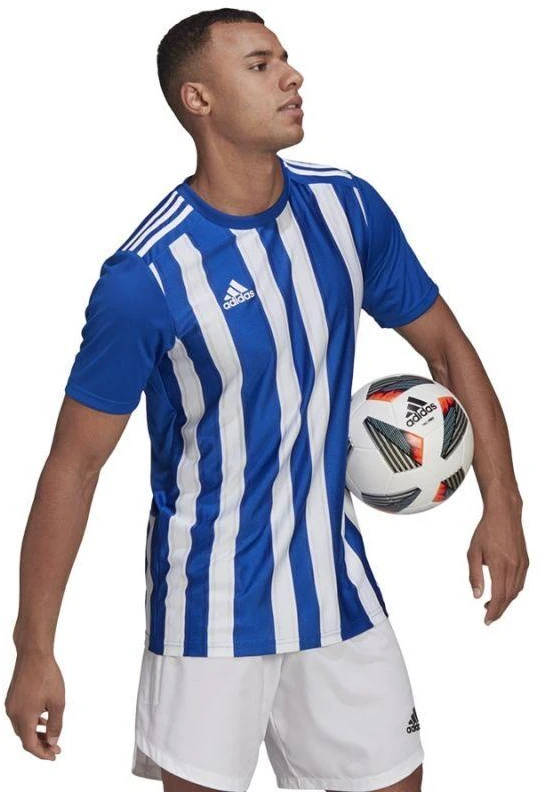 Adidas Dry-fit 21 JSY M GH7321 Marškinėliai