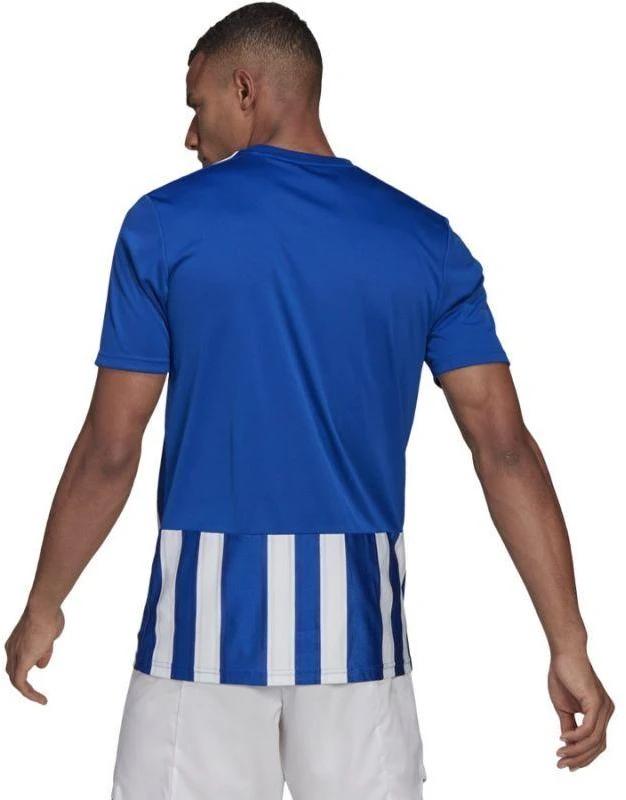 Adidas Dry-fit 21 JSY M GH7321 Marškinėliai