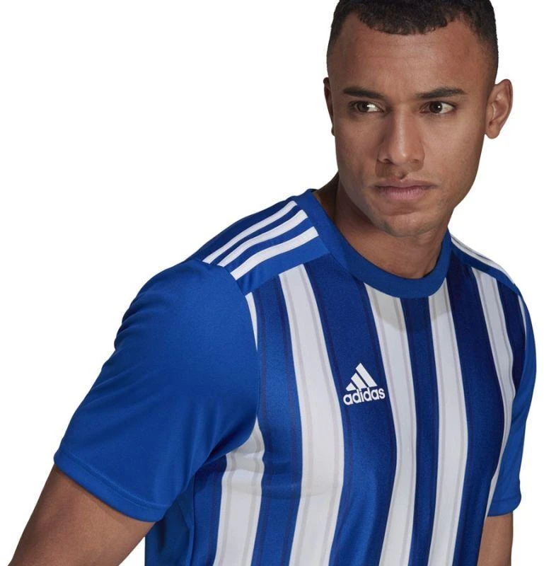 Adidas Dry-fit 21 JSY M GH7321 Marškinėliai