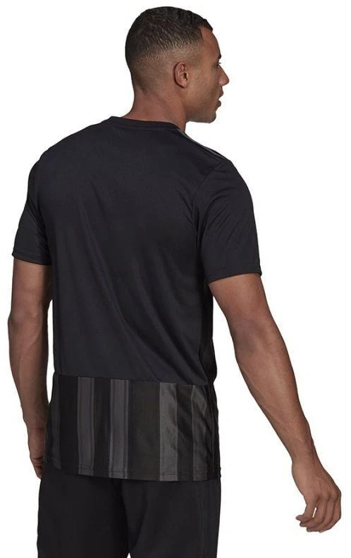 Adidas Dry-Fit 21 JSY M GN7625 marškinėliai