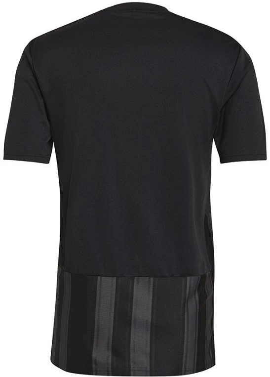 Adidas Dry-Fit 21 JSY M GN7625 marškinėliai