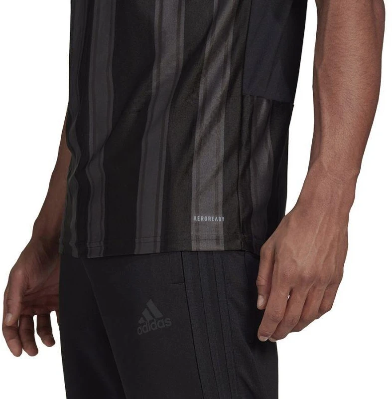 Adidas Dry-Fit 21 JSY M GN7625 marškinėliai