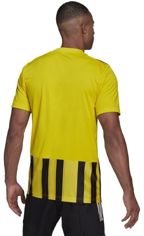Adidas Dry-Fit 21 JSY M GV1378 marškinėliai