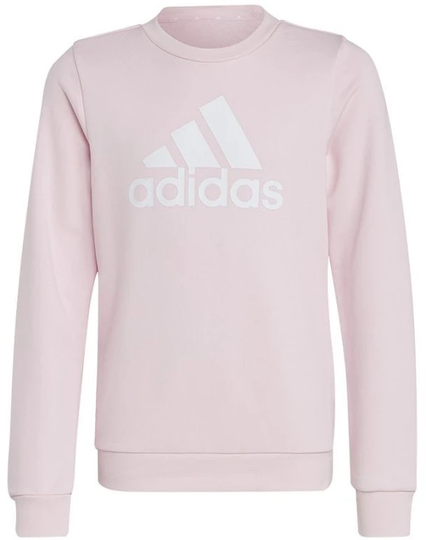 Adidas Dvigubo Logotipo Hoodies Jr IC6119