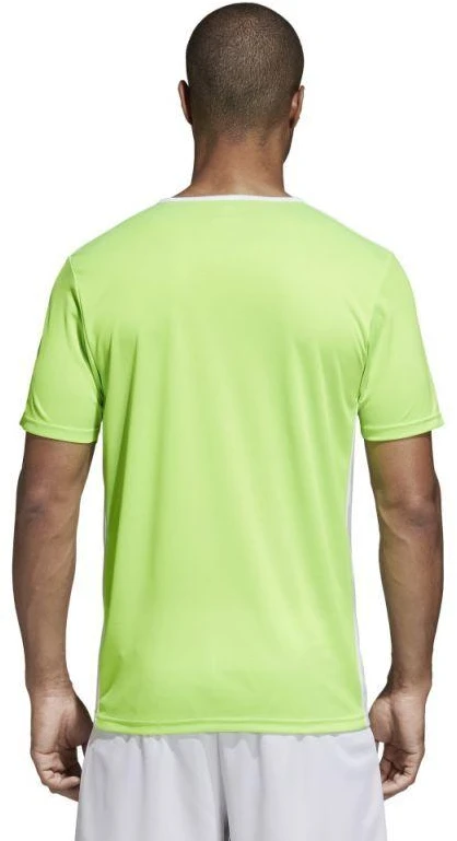 Adidas Entrada 18 CE9758 futbolo marškinėliai