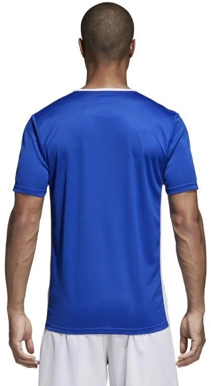 Adidas Entrada 18 CF1037 futbolo marškinėliai