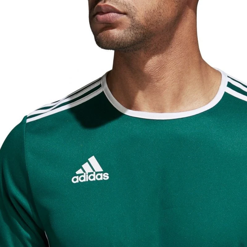 adidas Entrada 18 Jaunes marškinėliai CD8358