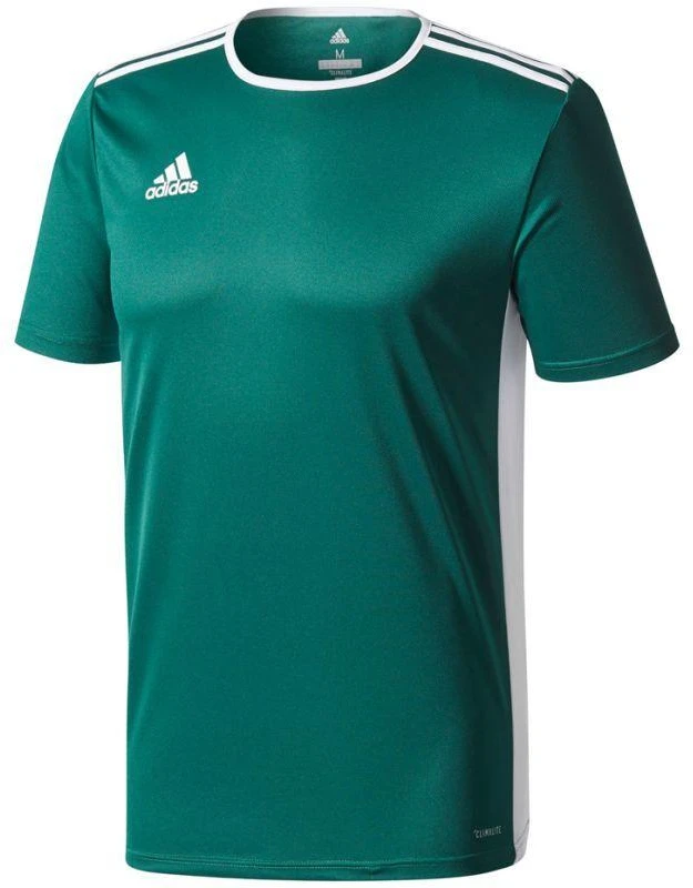 adidas Entrada 18 Jaunes marškinėliai CD8358