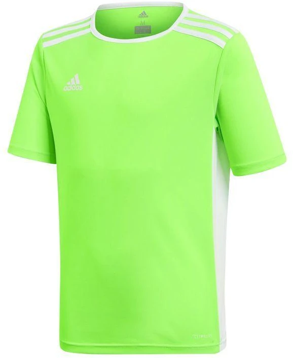 adidas Entrada 18 Jaunių Marškinėliai CE9755