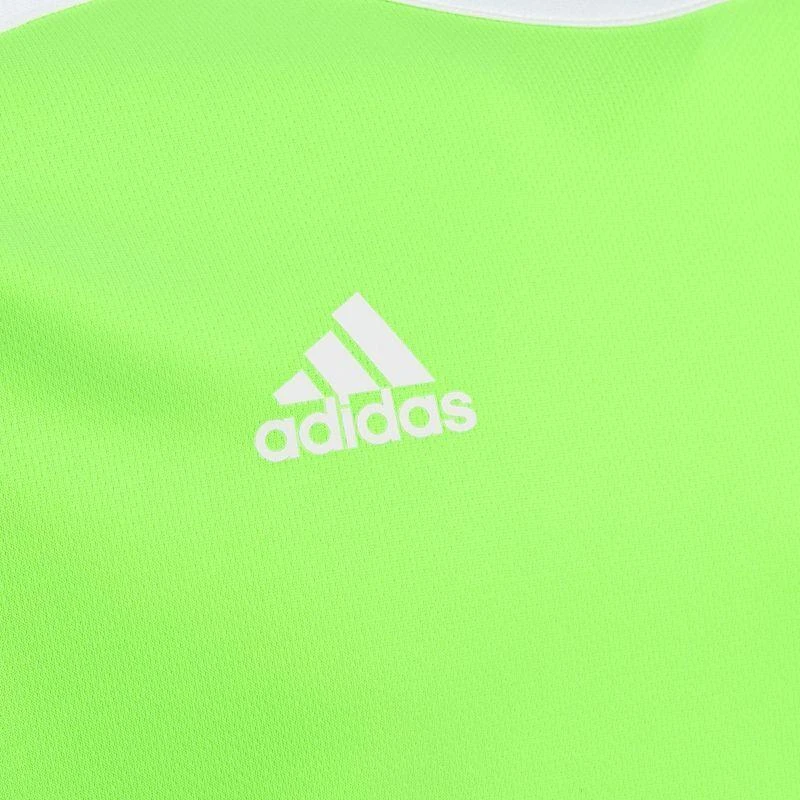 adidas Entrada 18 Jaunių Marškinėliai CE9755
