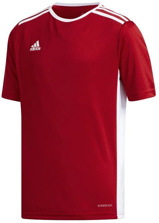 adidas Entrada 18 Jr CF1050 marškinėliai