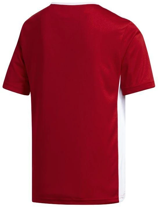 adidas Entrada 18 Jr CF1050 marškinėliai