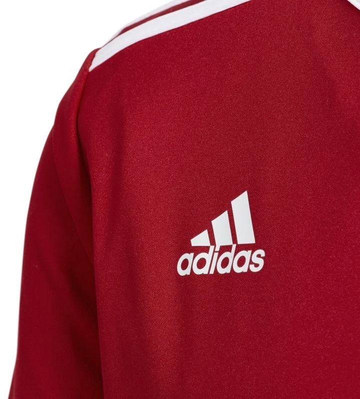 adidas Entrada 18 Jr CF1050 marškinėliai