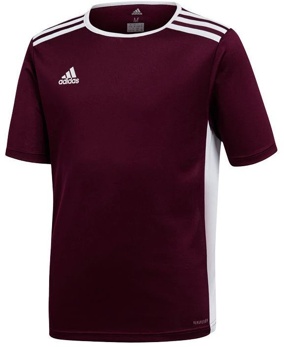 adidas Entrada 18 Jr Marškinėliai CE9564