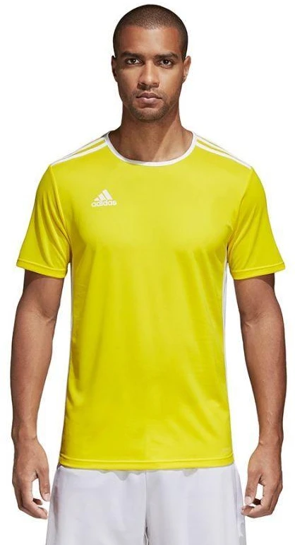 adidas Entrada 18 marškinėliai futbolui CD8390