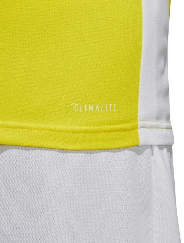 adidas Entrada 18 marškinėliai futbolui CD8390