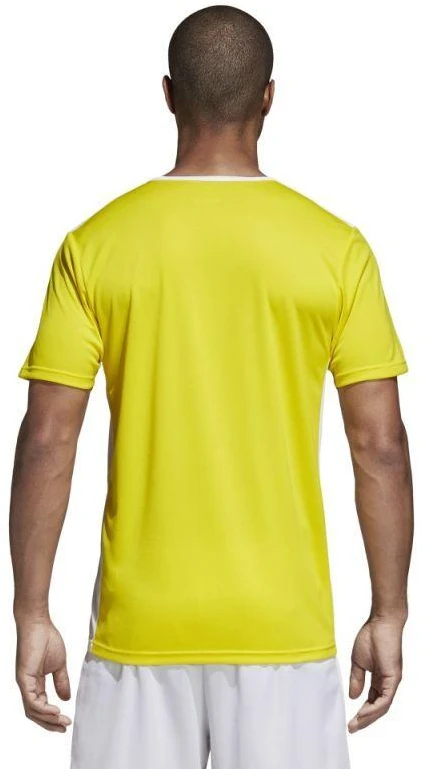 adidas Entrada 18 marškinėliai futbolui CD8390