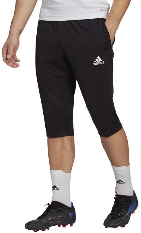 adidas Entrada 22 3/4 kelnės M HB0576