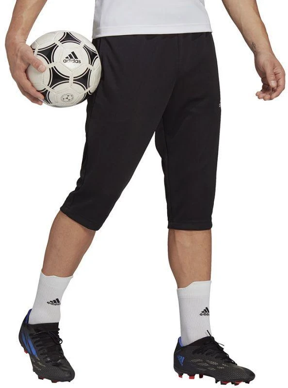 adidas Entrada 22 3/4 kelnės M HB0576