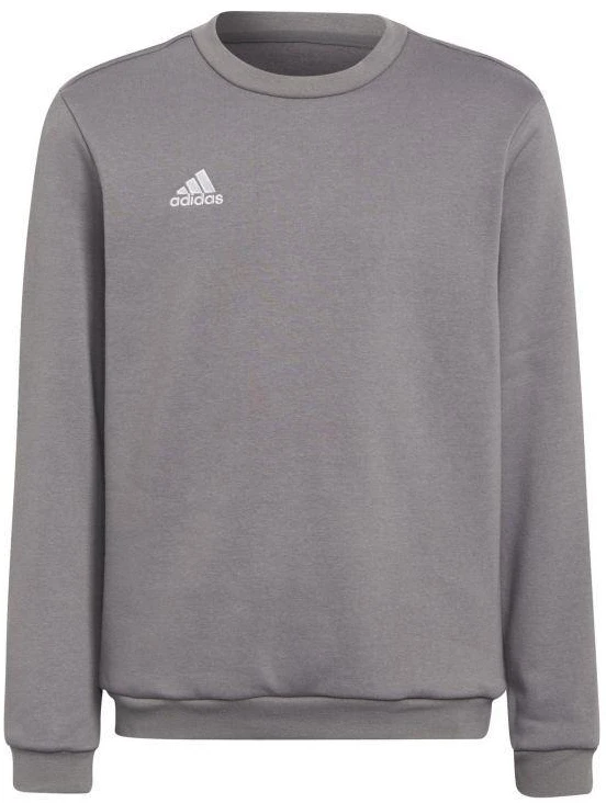 Adidas Entrada 22 Berni Marškiniai Jr H57477
