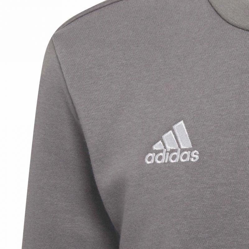 Adidas Entrada 22 Berni Marškiniai Jr H57477
