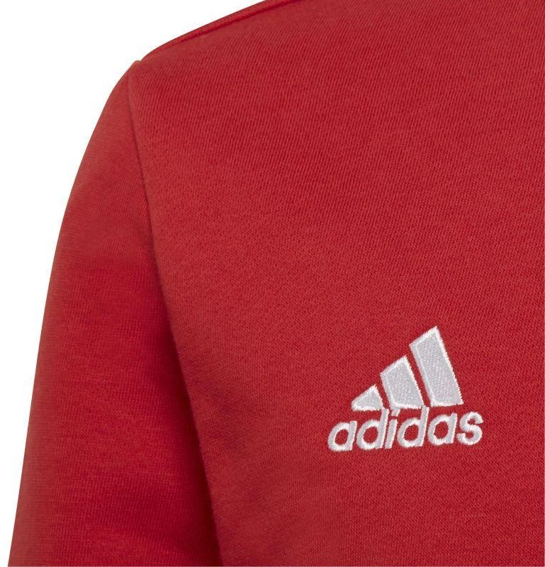 Adidas Entrada 22 Džemperis Jaunimui H57473