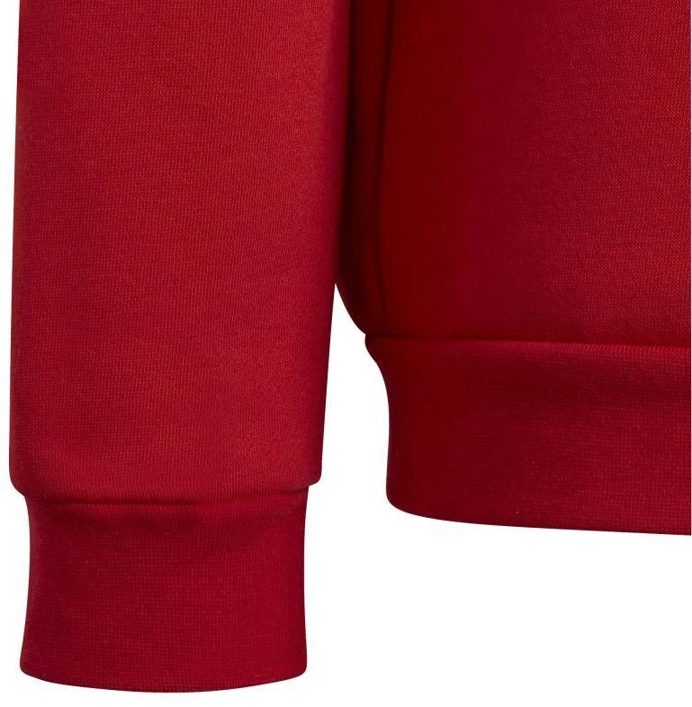 Adidas Entrada 22 Džemperis Jaunimui H57473