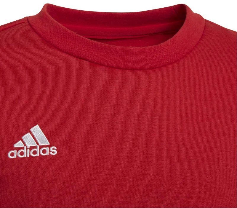 Adidas Entrada 22 Džemperis Jaunimui H57473