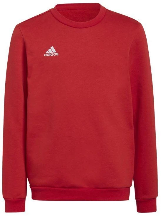 Adidas Entrada 22 Džemperis Jaunimui H57473